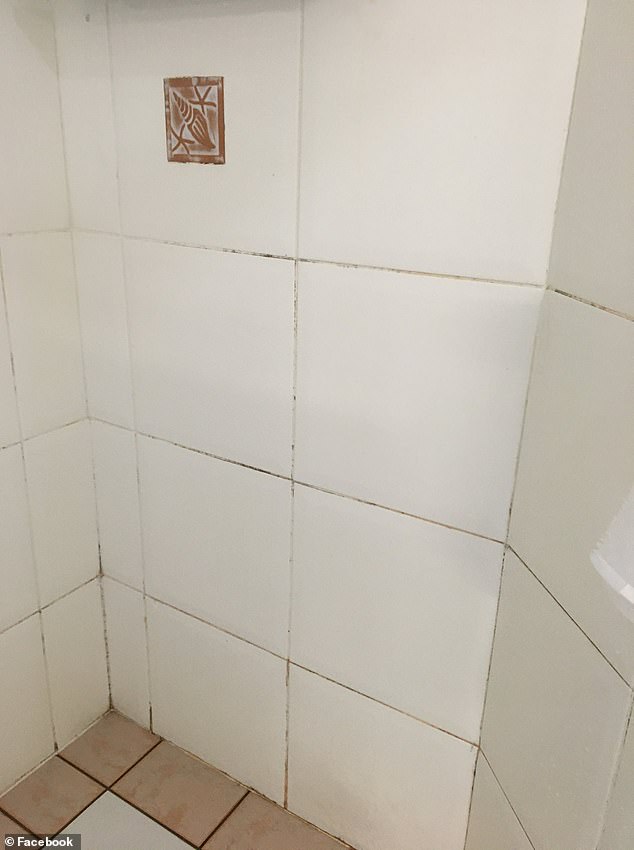 BEFORE: An Australian mother has revealed how she 'cracked the code' and discovered how to clean dirty grout on the bathroom shower walls with ease (pictured)